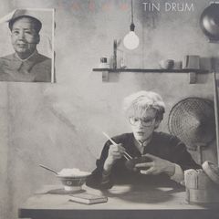 Japan / Tin Drum 錻力の太鼓 レコード