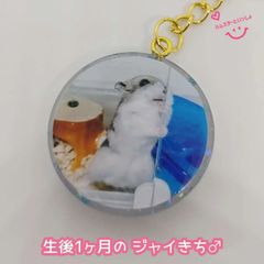 【再販】【１点限り】【おまけ付き】レジンキーホルダー 写真入り ハンドメイド ハムスターといっしょ 「生後1ヶ月の ジャイきち♂」バージョン