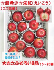 ☆超希少品種☆果肉まで赤～いりんご『栄紅』☆B品☆不揃い約2.5kg【エコ包装】のサムネイル