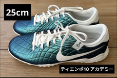 ティエンポ エメラルド レジェンド 10 アカデミー TF 30