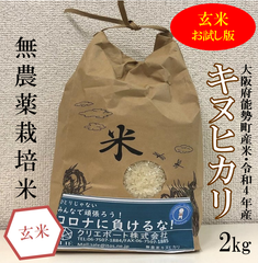【令和4年産/無農薬栽培米】大阪のてっぺんキヌヒカリ　玄米2kg　お試し
