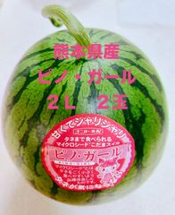 【産地直送】熊本県産小玉スイカ　ピノ・ガール（２Ｌ）２玉　マイクロシードすいか　種までたべられるスイカ　正規品　秀品
