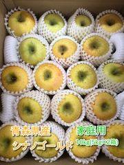 青森県産りんご「シナノゴールド」家庭用 キズ有 約10kg(5kg×2箱) 【フルーツキャップ詰め】