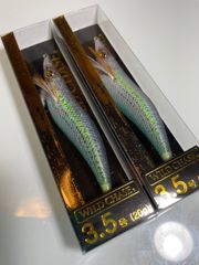 スクイッドマニア　ワイルドチェイス　3.5号　2021年カラー