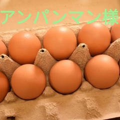 アンパンマン様専用  通常卵30個