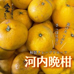 愛媛玉津産　河内晩柑　家庭用9kg