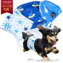 【特売】【獣医師監修】 マナーベルト 犬 男の子 3点セット お漏らし対策 サイズ調整可能 マーキング防止 防水加工 おむつ オス 介護用 高吸収性 Hiquolitapet (宇宙模様 L)