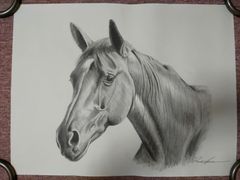 鉛筆画 馬の絵（全身） - メルカリ