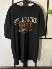 フェード　カレッジ　スキー　スポーツ　ヴィンテージ　anvil バータグ　Ｔシャツ　スノボ　アルペン