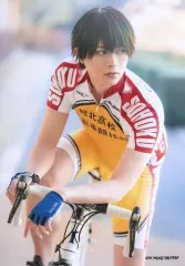 【中古】生写真(男性) 砂川脩弥(今泉俊輔)/膝上・キャラクターショット/舞台『弱虫ペダル』THE DAY 1 ブロマイド(個人セット)