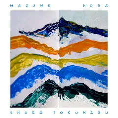 トクマルシューゴ　EXIT 国内盤レコード　SHUGO TOKUMARU トクマルシューゴ EXIT 国内盤レコード SHUGO TOKUMARU SHUGO