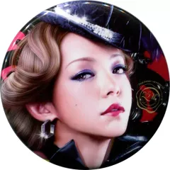 2025年最新】安室奈美恵マグネット缶の人気アイテム - メルカリ