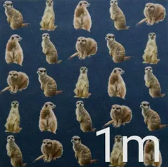 【ゆきちゃん限定】X154 ミーアキャット柄 デニム紺 コットン生地 1m