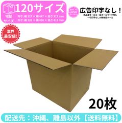 段ボール ダンボール 箱 120サイズ 20枚セット 新品 国産 梱包材 梱包資材