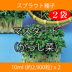 スプラウト種子 S-03 マスタード（からし菜） 10ml x 2袋