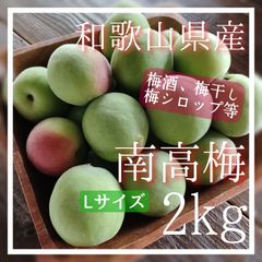 梅 南高梅 2㎏ 和歌山