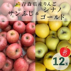 【新物訳あり】青森県産りんご食べ比べ（サンふじ+シナノゴールド）12玉（サイズ混合）　2Kg以上