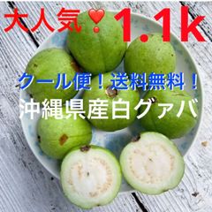 Nusrat様専用ページ✓shop限定!大人気!沖縄県産白グァバ✨10kクール便