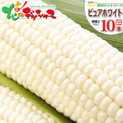 【予約/8月中旬(8月15日)頃～出荷予定】北海道 南幌町産 ピュアホワイトSP 10本入り とうもろこし 朝採り 甘い トウモロコシ スイートコーン 残暑見舞い 野菜 ギフト 贈り物 お祝い 内祝い プレゼント ご家庭用 北海道 グルメ お取り寄せ