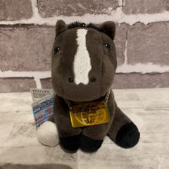 ドバイシーマクラシック　イクイノックス　アイドルホース