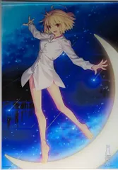 Amazon.co.jp: 月姫 アルクェイド・ブリュンスタッド オリジナル