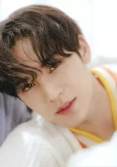 【中古】コレクションカード(男性) 009[プラスチックカード]：SEVENTEEN/MINGYU(ミンギュ)/「2022 SEVENTEEN’s HOME」ランダムフォトカード