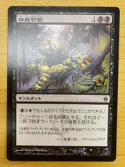 MTG 四肢切断 旧枠英語版foil 1枚① 旧枠仕様)四肢切断/Dismember《日本語》【TSR】