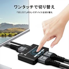 Item thumbnail for item bde5c634-cf00-4be7-ad2d-5fa823161265