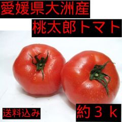 【愛媛県大洲産】桃太郎トマト３Ｋ入り