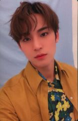 SEVENTEEN ひとりじゃない MINGYU トレーディングカード