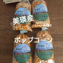美瑛産・はじける！香ばしいポップコーン【100g×4】