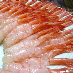 【生食用】無頭甘エビ20尾入り×2P入り  刺身 寿司 海鮮丼