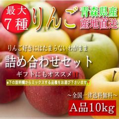 青森県産 最大7種ミックス りんご【A品10kg】【送料無料】【農家直送】ふじ