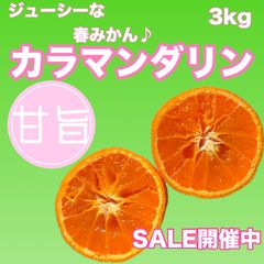 ジューシーな春みかん　カラマンダリン　3kg   【和歌山県有田産】【農家直送】