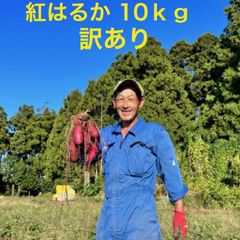 さつまいも 紅はるか10kｇ 訳あり 大中小サイズ混合家庭用 (中身9.5ｋｇ前後）有機質の畑で育ったサツマイモ