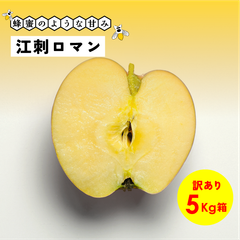 蜂蜜のような濃い甘さが魅力！ 9月収穫 幻のリンゴ 「江刺ロマン5キロ箱訳あり品」農林水産大臣賞 長野県産 安曇野 信州産 幻