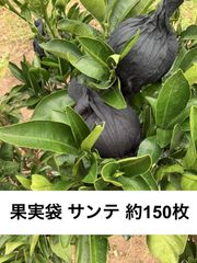 サンテ　果実袋　中古　450枚　柑橘　農業　みかん 2800枚 果実袋 サンテ S-6 18cm 黒 ミカン 日焼防止 着色促進 樹上越冬