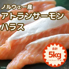 サーモンラン　ジャケット　Mサイズ　ネームプレートおまけ付き 2025年最新】サーモンラン ジャケットの人気アイテム - メルカリ