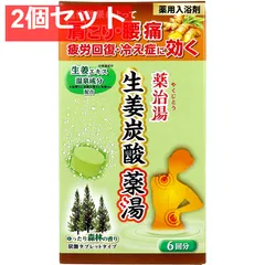 薬用入浴剤 薬治湯 生姜炭酸薬湯 炭酸タブレットタイプ ゆったり森林の香り 50g×6錠入 2個セット まとめ売り