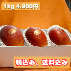 アーウィン秀品 3玉 約1kg