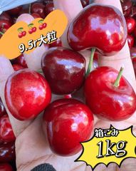 ネコポス箱こみ1kg‼️9.5row超大粒‼️常温便　アメリカンチェリー 　　母の日　父の日　家庭用　果物空輸直送　ジューシーな果肉｜American Premium Cherries 車厘子 美國櫻桃 さくらんぼ　国内検品発送