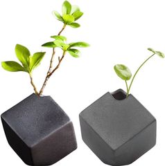 Item thumbnail for item 099b3067-bd52-4ff6-87a9-080e2e5f5cf9