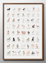 14460犬 イヌ 図鑑 品種 DOG A3 サイズ ポスター アート おしゃれ 絵画 インテリア 北欧 イラスト マット紙 艶消し アートパネル 額 フレーム デザイン 壁掛け ギフト 新築祝い ディスプレイ 
