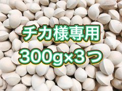 チカ様専用　祖父江ぎんなん　3L 300g×3