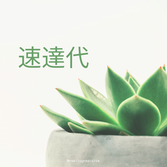 速達代