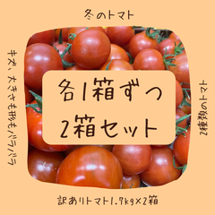 【２箱セット】訳ありフルーツミニトマト各１箱ずつのセットです。
