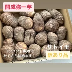 2025年最新】じゃがいも 30キロの人気アイテム - メルカリ