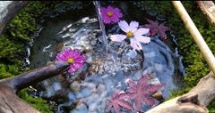 卓上苔リング和のつくばい水流版』水栓縦タイプ - メルカリ