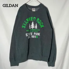 【GILDAN】イリノイ 州立公園 STARVED ROCK STATE PARK 木 プリントロゴ スウェット トレーナー チャコールグレー　US古着 USA輸入 Ssize