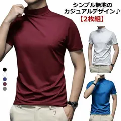 【2枚組】 【送料無料】 ハイネック 半袖 メンズ tシャツ メンズtシャツ 半袖 モックネック ゴルフ ストレッチ 無地 モックネックシャツ ハイネックtシャツ トップス カットソー スポーツウェア#shbwdd1460
